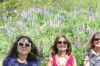 Filename=vip3_003.jpg
Filesize=229KiB
Dimensions=1280x851
Date added=Jul 08, 2013 vip3_003.jpg