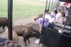 Filename=IMG_5207.jpg
Filesize=200KiB
Dimensions=1280x853
Date added=Jul 28, 2016 IMG_5207.jpg