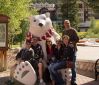 Filename=RG3A8358.jpg
Filesize=258KiB
Dimensions=1196x1024
Date added=Aug 12, 2016 RG3A8358.jpg
