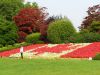 Filename=DSC00341.JPG
Filesize=713KiB
Dimensions=2000x1500
Date added=Sep 09, 2017 DSC00341.JPG
