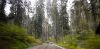 Filename=AP1I8630.jpg
Filesize=414KiB
Dimensions=2000x994
Date added=Jun 23, 2019 AP1I8630.jpg