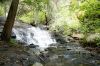 Filename=AP1I8849.jpg
Filesize=696KiB
Dimensions=2000x1333
Date added=Jun 23, 2019 AP1I8849.jpg