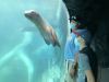 Filename=a30.jpg
Filesize=227KiB
Dimensions=2000x1500
Date added=Oct 21, 2020 a30.jpg